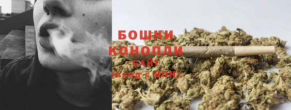мяу мяу мука Белокуриха