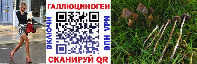 Галлюциногенные грибы мицелий наркошоп Дно